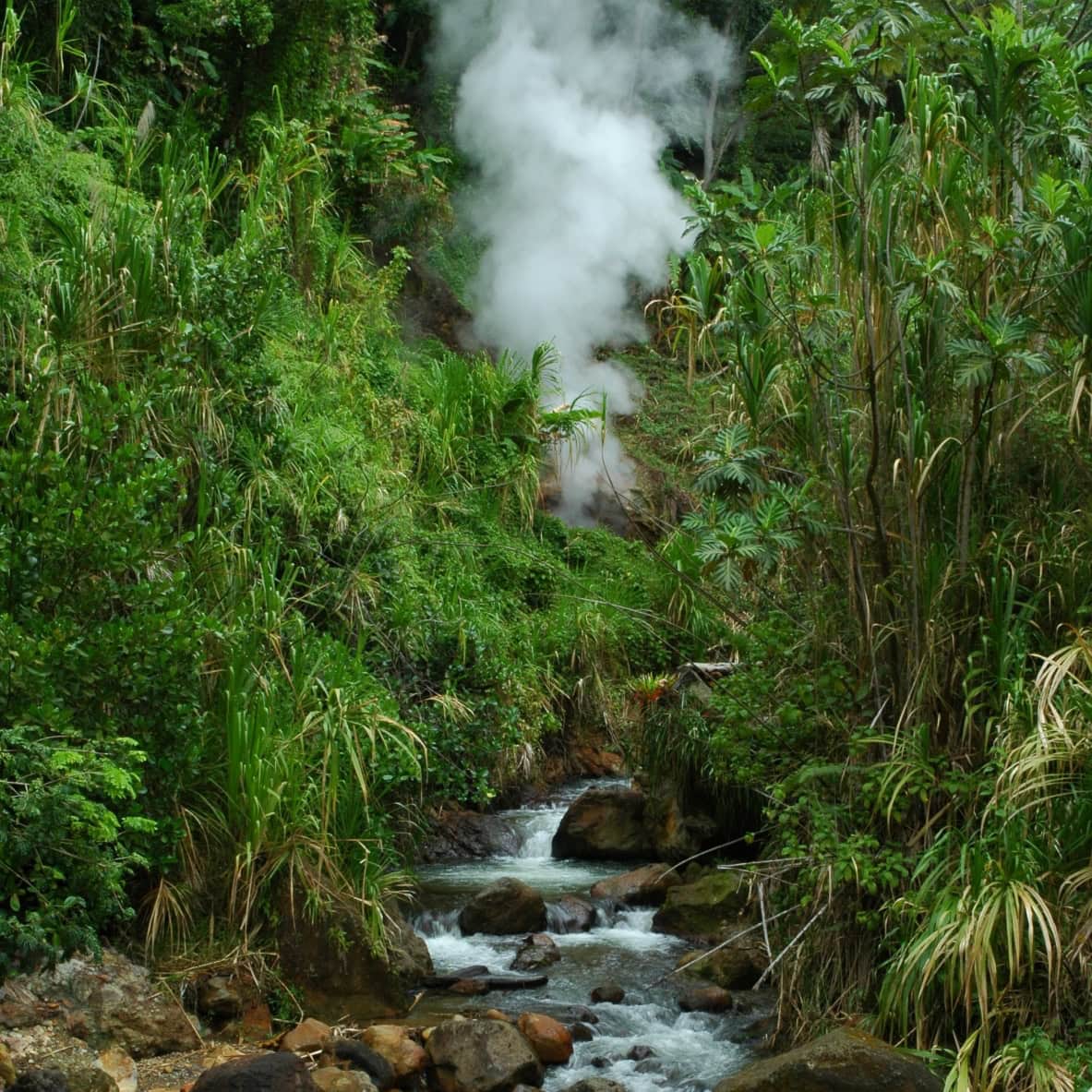 Dominica
